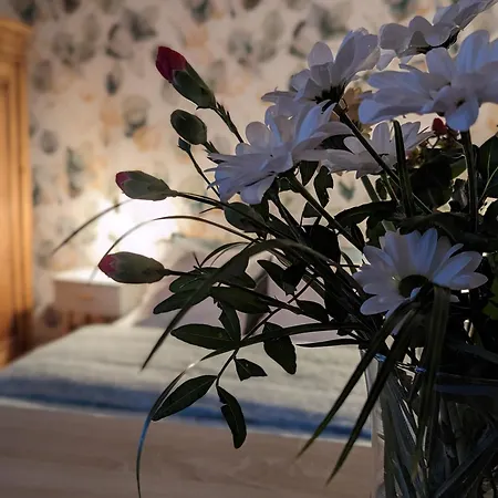 Le Nid D'hirondelle Apartment