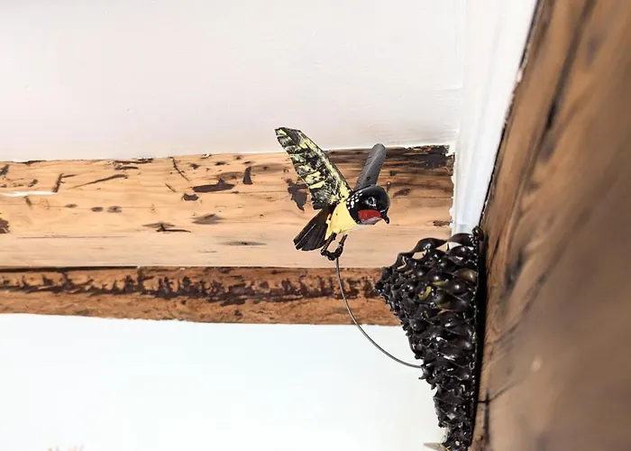 Le Nid D'hirondelle * Gertwiller